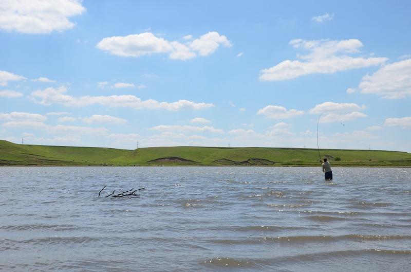 Sarulesti - Mai 2013 - andrei-vladeanu-pescuit-sarulesti-6.JPG